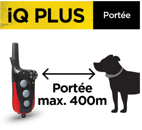 Collier Dogtra IQ Plus noir pour le dressage de chiens de petite à moyenne taille, rechargeable, étanche avec stimulation basse à moyenne, idéal pour un dressage efficace et doux. Conçu avec accumulateurs Li-Po et voyant LED pour niveaux de charge, récepteur IPX9K et émetteur évolutif.