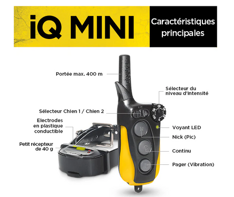 Collier Dogtra IQ Mini