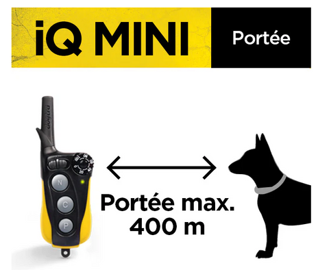 Collier Dogtra IQ Mini