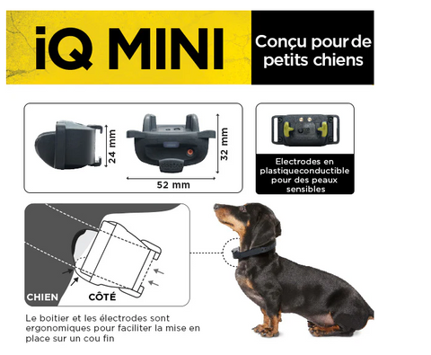 Collier de dressage Dogtra IQ Mini avec émetteur résistant à l'eau et récepteur étanche, adapté pour les petits chiens pesant 3,5 kg et plus, offrant différentes options de stimulation pour un entraînement efficace jusqu'à 400 mètres, compatible avec iQ Plus
