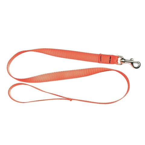 Laisse sangle Country orange fluo - 1,20 m CH3250