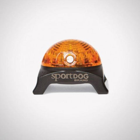 Localisateur lumineux SportDog CY3535