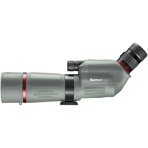 Longue vue Bushnell Nitro 20-60x65 coudée FLSN206065GA