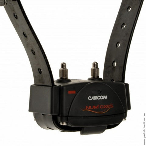 Pack collier de dressage/repérage Num’Axes Canicom 1500 Pro