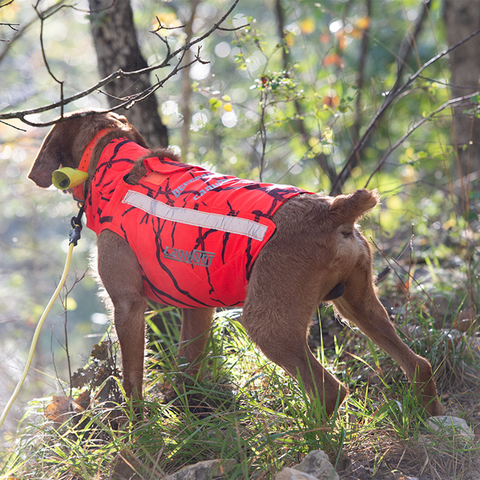 Gilet CaniHunt Protect Defender 2.0 pour chiens de chasse, offrant protection maximale avec design camouflage orange fluo, tissu CORDURA® résistant, ajustement optimal, et visibilité accrue grâce à des bandes réfléchissantes.